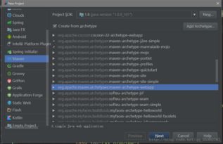 軟件開(kāi)發(fā)的廣闊領(lǐng)域與多元路徑