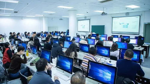 大連東軟信息學(xué)院計(jì)算機(jī)科學(xué)與技術(shù)專(zhuān)業(yè)入選國(guó)家一流本科專(zhuān)業(yè)建設(shè)點(diǎn)，技術(shù)服務(wù)能力獲得國(guó)家認(rèn)可